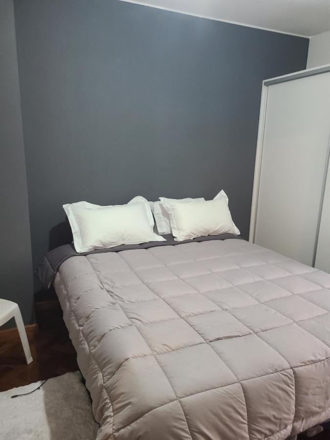 Apartament Departamento Centrico, Pasos Peatonal Mendoza Zewnętrze zdjęcie